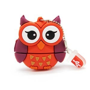 Clé Usb Chouette 32G