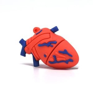 Clé Usb Coeur Humain