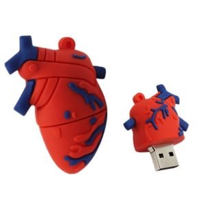 Clé Usb Coeur Humain